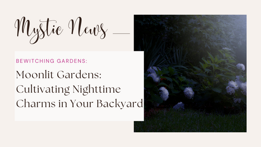 Moonlit Gardens: Cultivating Nighttime Charms in Your Backyard